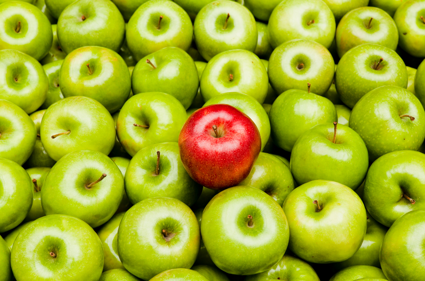 Gesunde Brotzeit Ein ganzheitlicher Ansatz berücksichtigt Lebensstil, persönliche Vorlieben und Gesundheitsziele, um nachhaltige Veränderungen zu fördern.